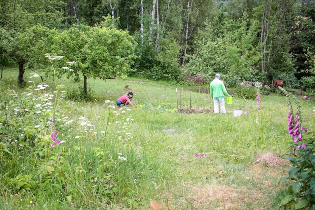 Enjoy Cozy Romance Hills Forest Gardens Views Sauna Whirlpool Bath Jablonne v Podjestedi Exterior foto